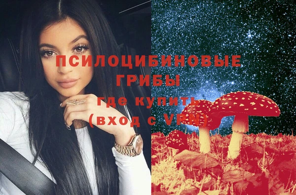 эйфоретик Алзамай