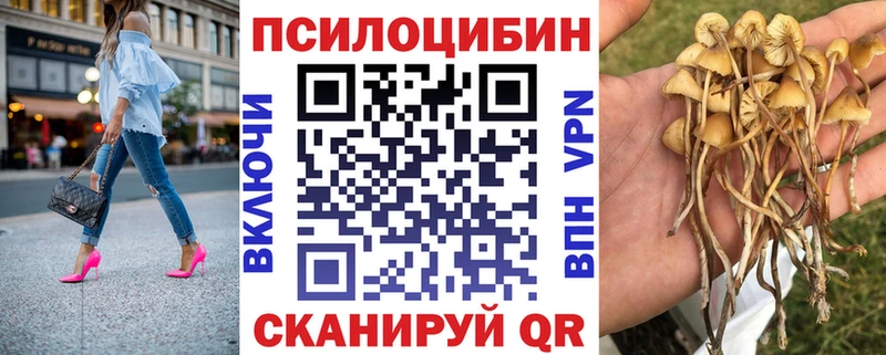 darknet Telegram  Глазов  Галлюциногенные грибы Psilocybe 